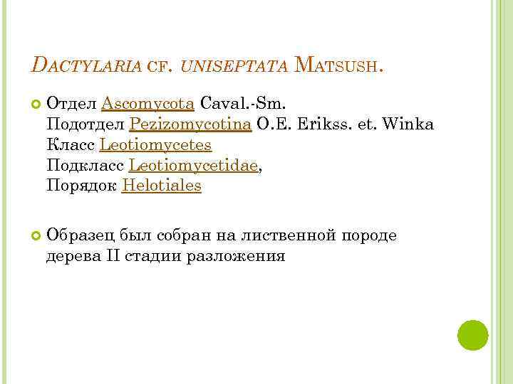 DACTYLARIA CF. UNISEPTATA MATSUSH. Отдел Ascomycota Caval. -Sm. Подотдел Pezizomycotina O. E. Erikss. et.