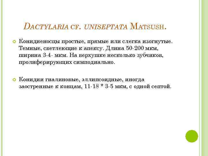 DACTYLARIA CF. UNISEPTATA MATSUSH. Конидиеносцы простые, прямые или слегка изогнутые. Темные, светлеющие к апексу.