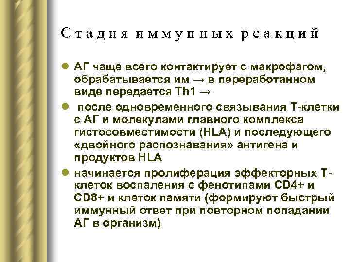 Стадия иммунных реакций l АГ чаще всего контактирует с макрофагом, обрабатывается им → в