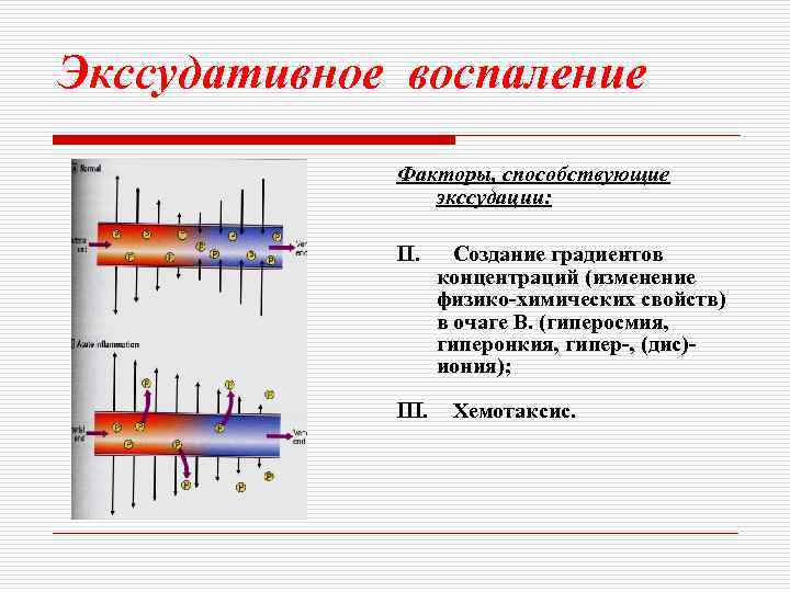 Экссудативное воспаление Факторы, способствующие экссудации: III. Создание градиентов концентраций (изменение физико-химических свойств) в очаге