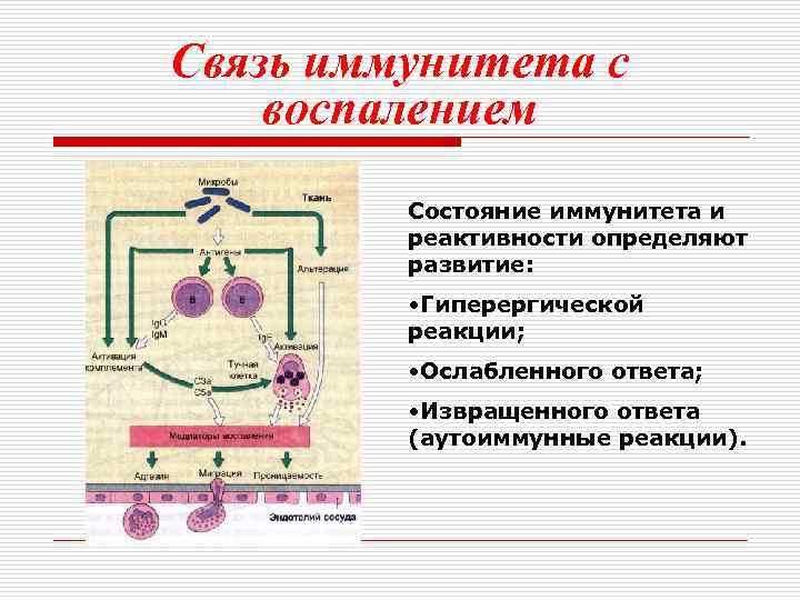 Воспаленное состояние поли а главное ее