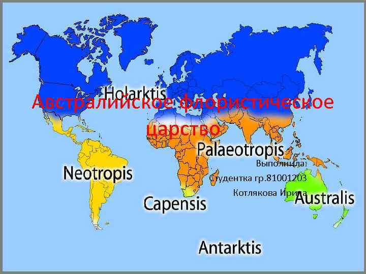Австралийское флористическое царство Выполнила: Студентка гр. 81001203 Котлякова Ирина 