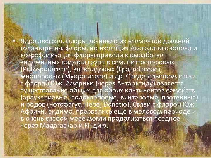  • Ядро австрал. флоры возникло из элементов древней голантарктич. флоры, но изоляция Австралии