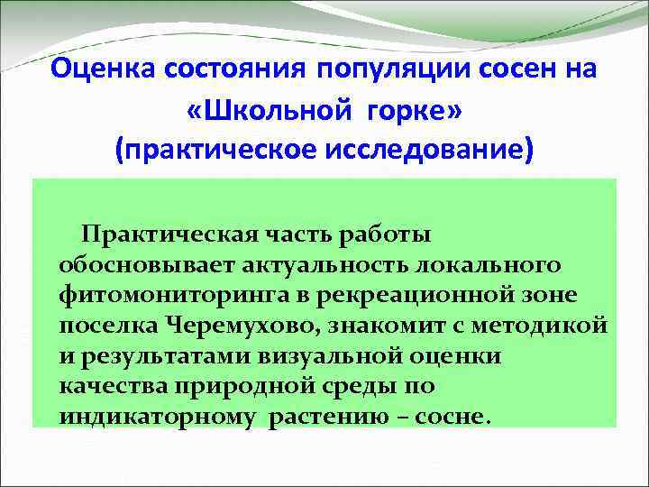 Оценка состояния популяции сосен на «Школьной горке» (практическое исследование) Практическая часть работы обосновывает актуальность