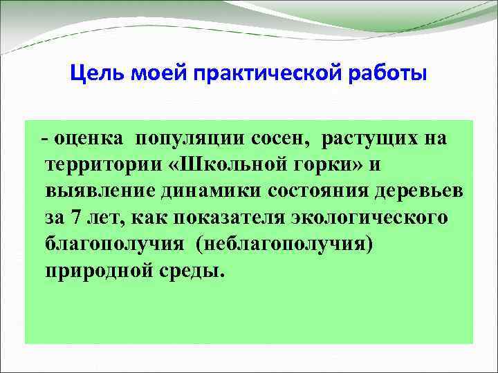 Цель моей практической работы - оценка популяции сосен, растущих на территории «Школьной горки» и