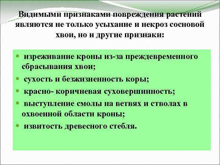 Видимыми признаками повреждения растений являются не только усыхание и некроз сосновой хвои, но и