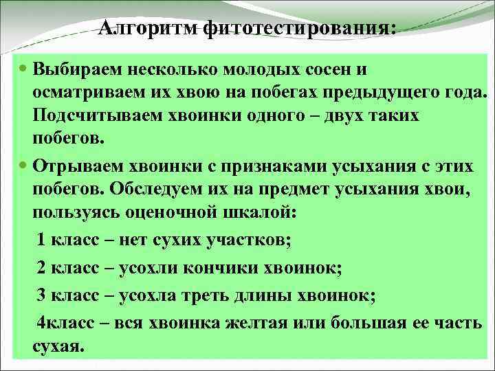 Алгоритм фитотестирования: Выбираем несколько молодых сосен и осматриваем их хвою на побегах предыдущего года.