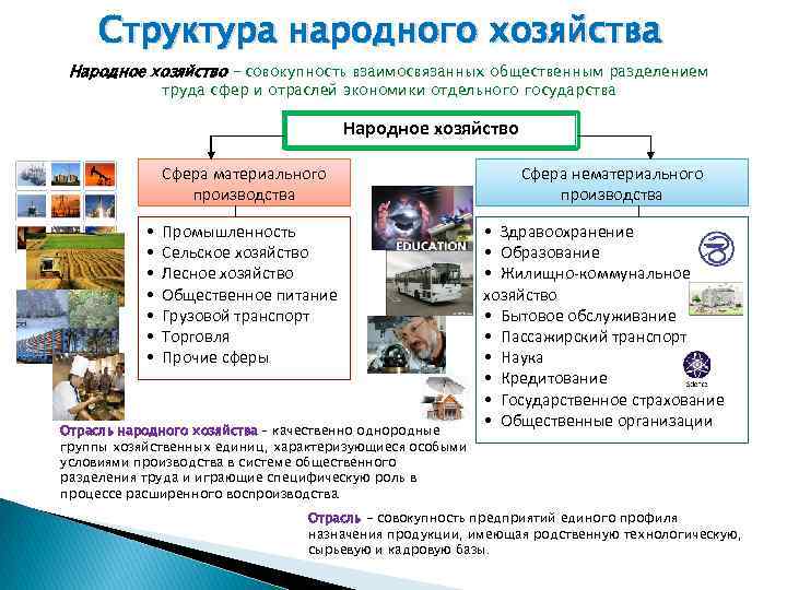 Особенности структуры хозяйства