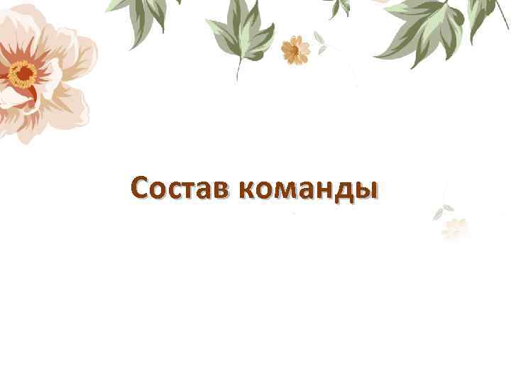 Состав команды 