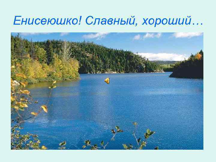 Енисеюшко! Славный, хороший… 