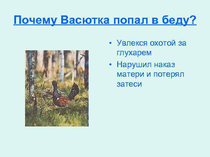 Почему Васютка попал в беду? • Увлекся охотой за глухарем • Нарушил наказ матери