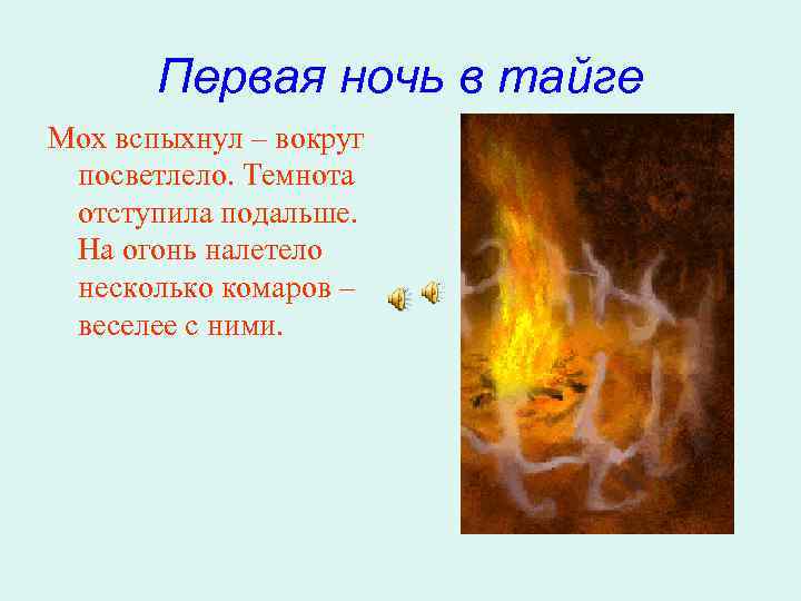 Первая ночь в тайге Мох вспыхнул – вокруг посветлело. Темнота отступила подальше. На огонь