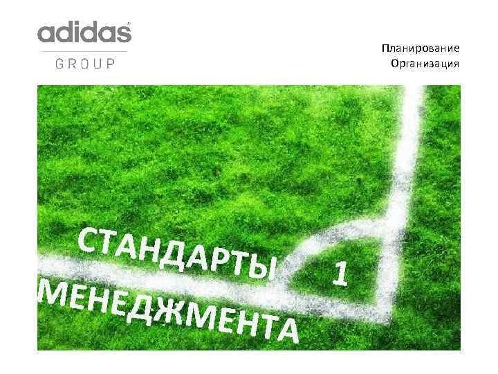 Планирование Организация СТАНДА РТЫ 1 МЕНЕДЖ МЕНТА 