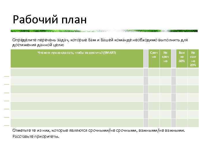 Рабочий план Определите перечень задач, которые Вам и Вашей команде необходимо выполнить для достижения