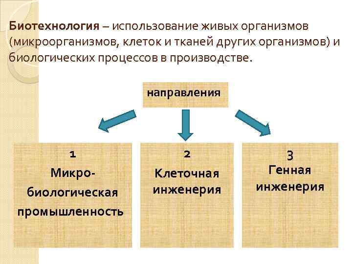 Биотехнология – использование живых организмов (микроорганизмов, клеток и тканей других организмов) и биологических процессов