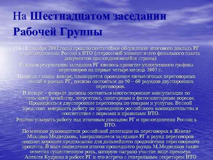 На Шестнадцатом заседании Рабочей Группы (16 -18 декабря 2002 года) прошло постатейное обсуждение итогового