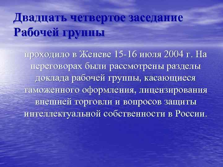 Двадцать четвертое заседание Рабочей группы проходило в Женеве 15 -16 июля 2004 г. На