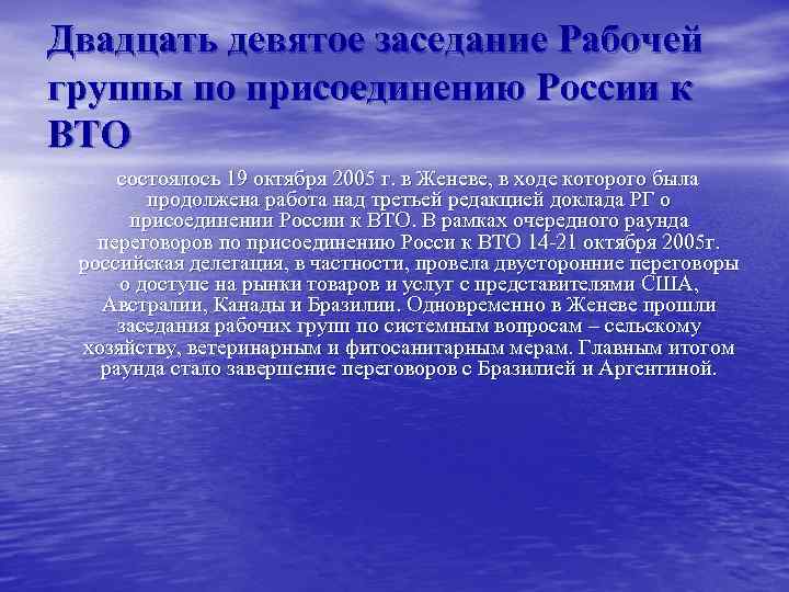 Двадцать девятое заседание Рабочей группы по присоединению России к ВТО состоялось 19 октября 2005