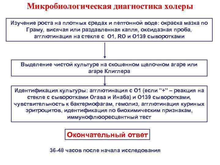 Схема исследования на холеру основана на способности вибриона