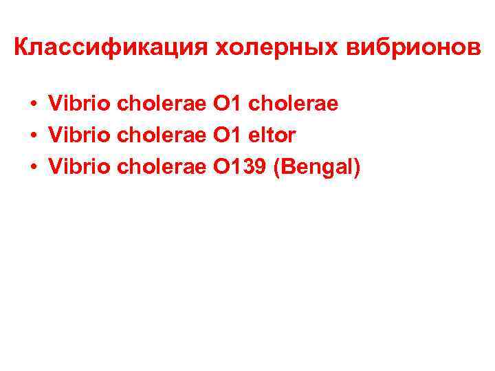 Классификация холерных вибрионов • Vibrio cholerae O 1 cholerae • Vibrio cholerae O 1