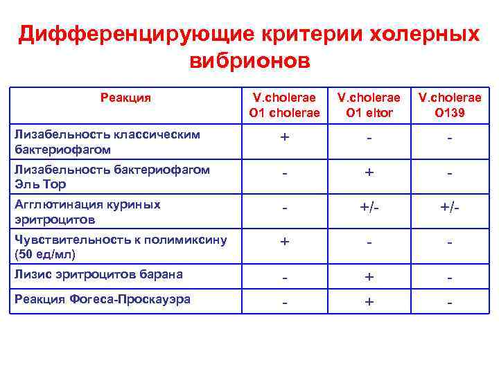 Какой тип питания характерен для холерного вибриона изображенного на рисунке