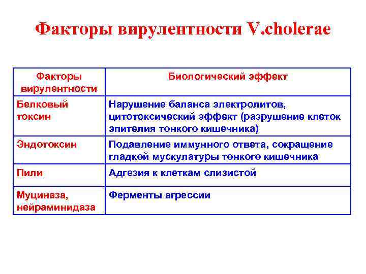 Факторы вирулентности V. cholerae Факторы вирулентности Биологический эффект Белковый токсин Нарушение баланса электролитов, цитотоксический