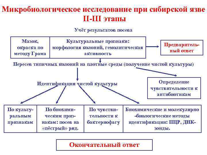 Методы микробиологического исследования