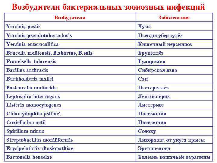 Возбудители бактериальных зоонозных инфекций Возбудители Заболевания Yersinia pestis Чума Yersinia pseudotuberculosis Псевдотуберкулёз Yersinia enterocolitica