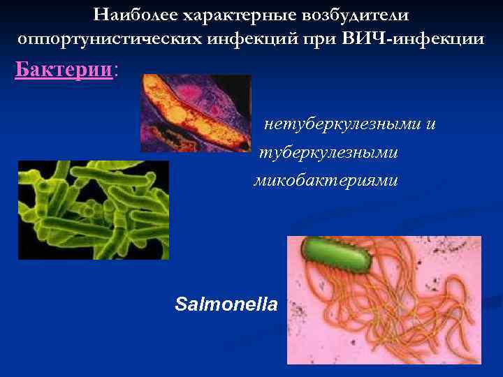 Наиболее характерные возбудители оппортунистических инфекций при ВИЧ-инфекции Бактерии: нетуберкулезными и туберкулезными микобактериями Salmonella 