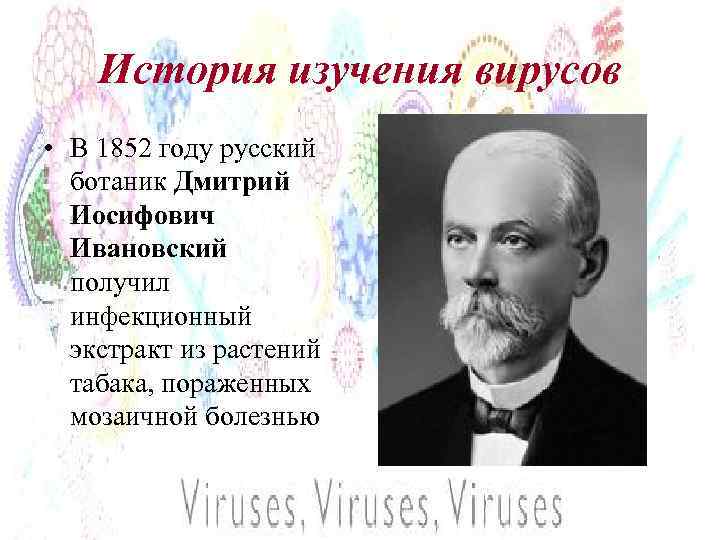 История изучения вирусов • В 1852 году русский ботаник Дмитрий Иосифович Ивановский получил инфекционный