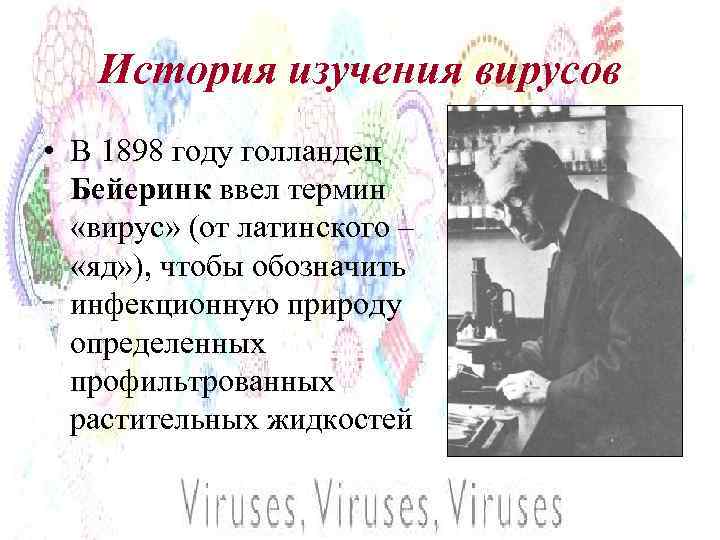 История изучения вирусов • В 1898 году голландец Бейеринк ввел термин «вирус» (от латинского