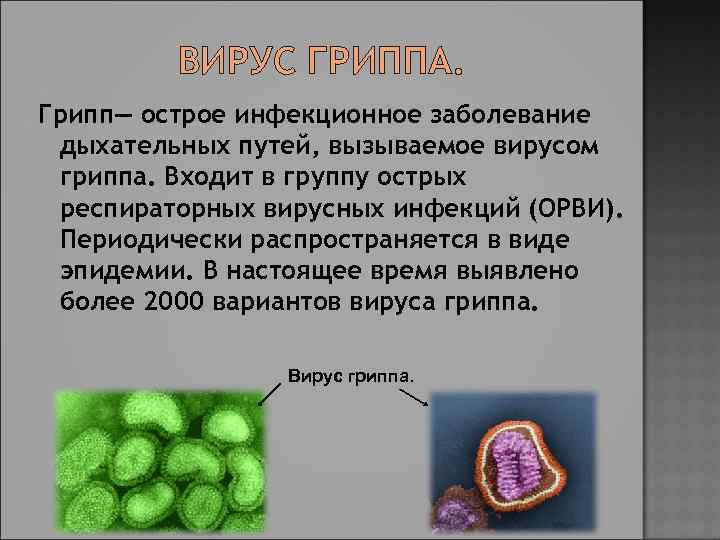 ВИРУС ГРИППА. Грипп— острое инфекционное заболевание дыхательных путей, вызываемое вирусом гриппа. Входит в группу