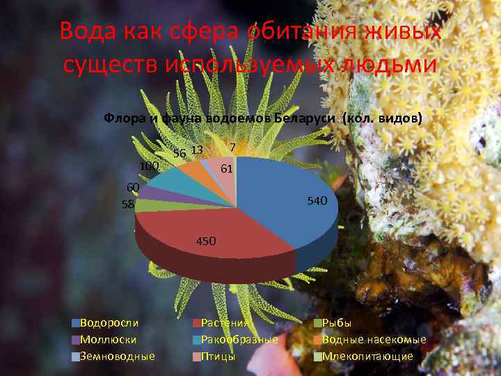 Вода как сфера обитания живых существ используемых людьми Флора и фауна водоемов Беларуси (кол.