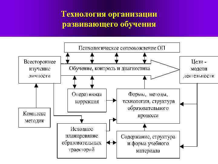 Технология организации развивающего обучения 