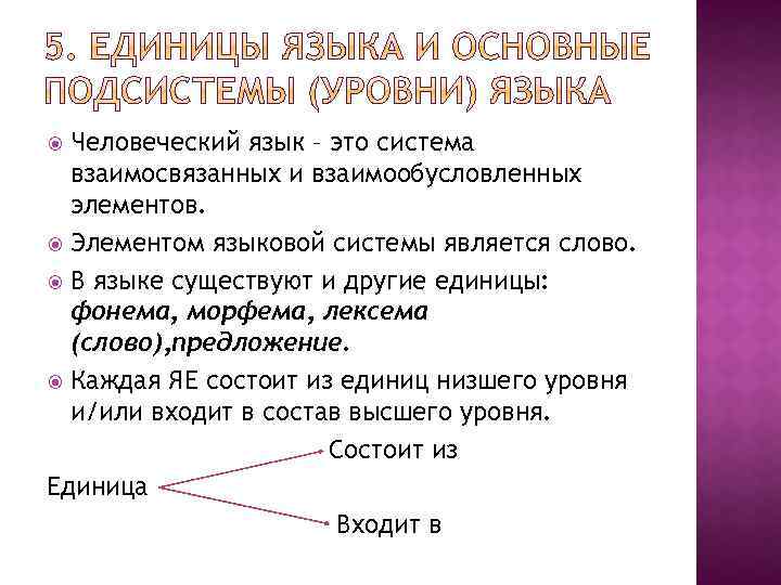 Человеческий язык – это система взаимосвязанных и взаимообусловленных элементов. Элементом языковой системы является слово.