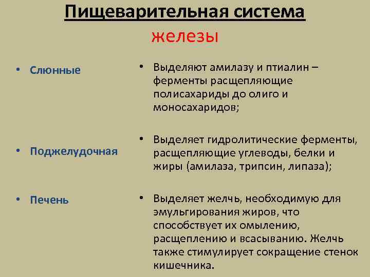 Пищеварительная система железы • Слюнные • Поджелудочная • Печень • Выделяют амилазу и птиалин