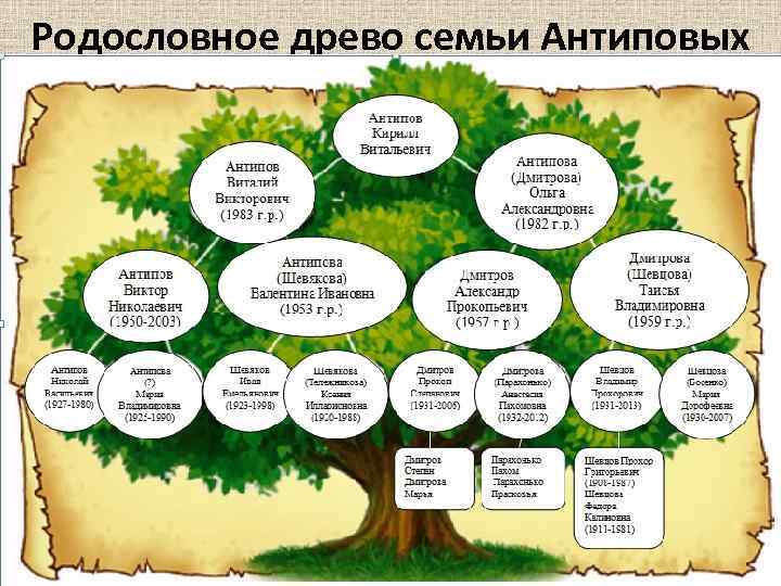 Родословное древо семьи Антиповых 