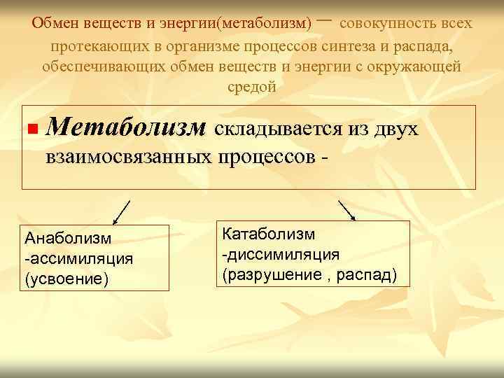 – Обмен веществ и энергии(метаболизм) совокупность всех протекающих в организме процессов синтеза и распада,