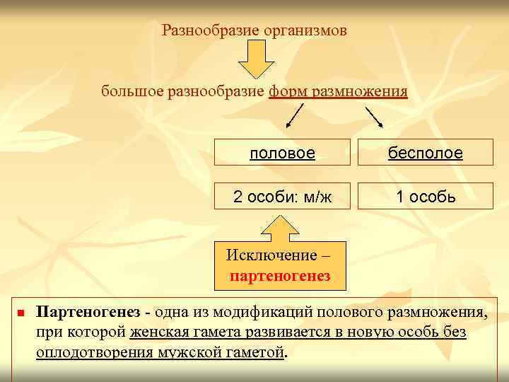 Разнообразие организмов большое разнообразие форм размножения половое бесполое 2 особи: м/ж 1 особь Исключение