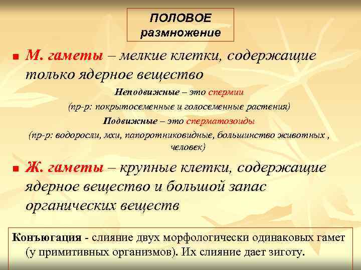 ПОЛОВОЕ размножение n М. гаметы – мелкие клетки, содержащие только ядерное вещество Неподвижные –