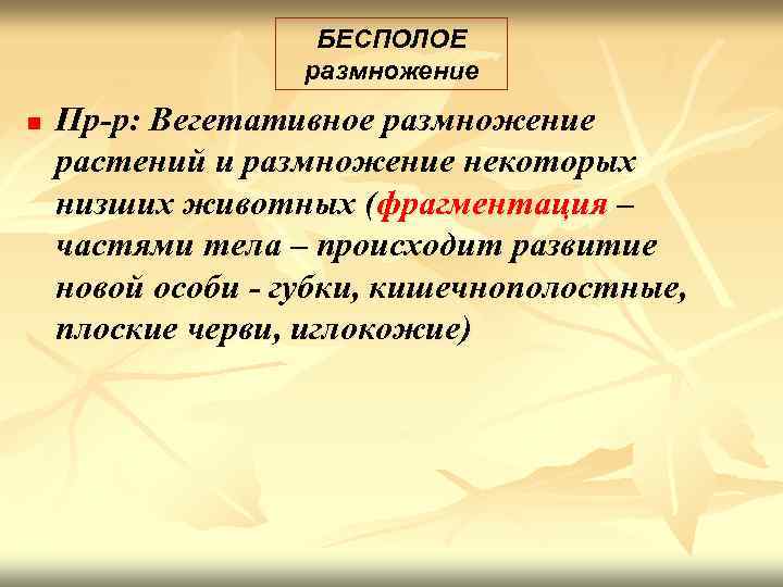 БЕСПОЛОЕ размножение n Пр-р: Вегетативное размножение растений и размножение некоторых низших животных (фрагментация –