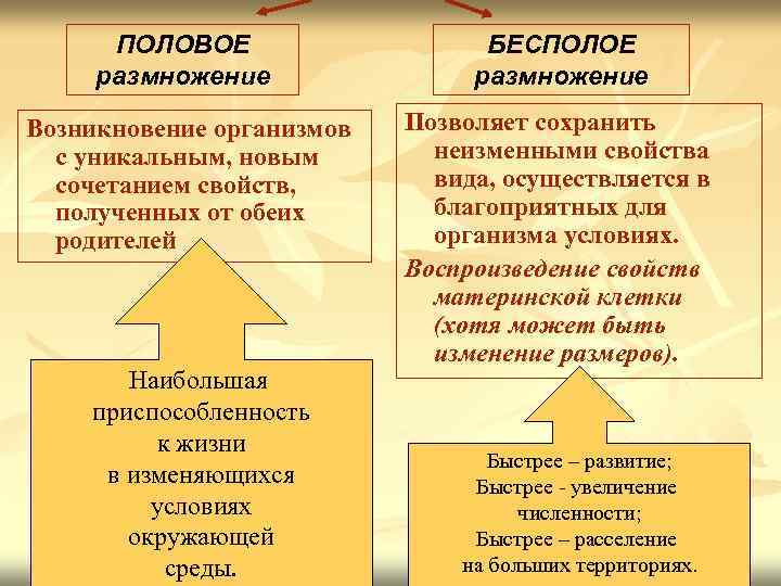 ПОЛОВОЕ размножение БЕСПОЛОЕ размножение Возникновение организмов с уникальным, новым сочетанием свойств, полученных от обеих