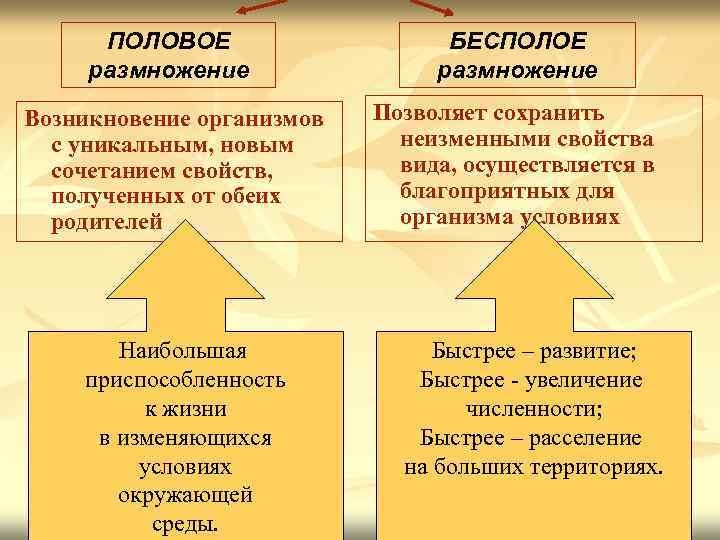 ПОЛОВОЕ размножение БЕСПОЛОЕ размножение Возникновение организмов с уникальным, новым сочетанием свойств, полученных от обеих