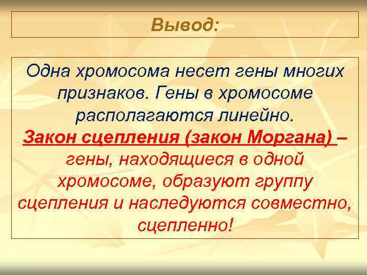 Вывод: Одна хромосома несет гены многих признаков. Гены в хромосоме располагаются линейно. Закон сцепления