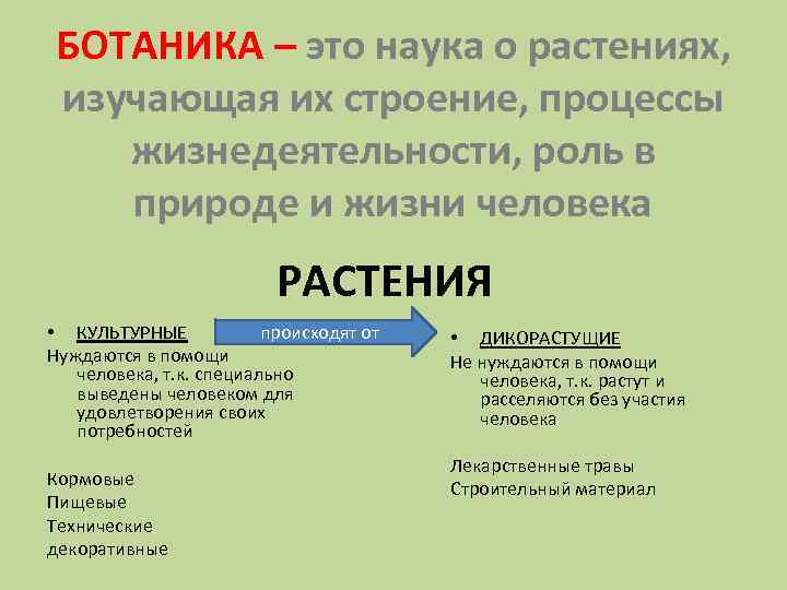 БОТАНИКА – это наука о растениях, изучающая их строение, процессы жизнедеятельности, роль в природе