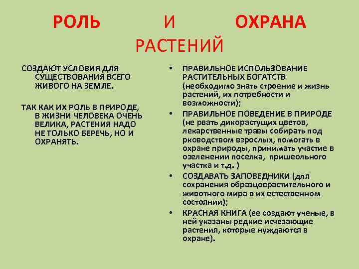 РОЛЬ И ОХРАНА РАСТЕНИЙ СОЗДАЮТ УСЛОВИЯ ДЛЯ СУЩЕСТВОВАНИЯ ВСЕГО ЖИВОГО НА ЗЕМЛЕ. ТАК КАК