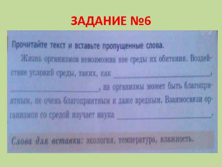 ЗАДАНИЕ № 6 