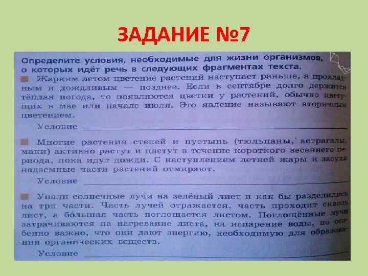 ЗАДАНИЕ № 7 