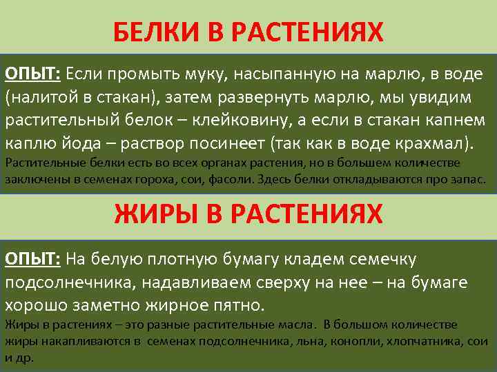 БЕЛКИ В РАСТЕНИЯХ ОПЫТ: Если промыть муку, насыпанную на марлю, в воде (налитой в