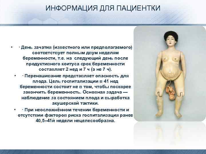 ИНФОРМАЦИЯ ДЛЯ ПАЦИЕНТКИ • · День зачатия (известного или предполагаемого) соответствует полным двум неделям